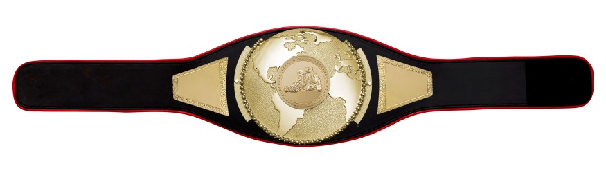 JIU JITSU CHAMPIONSHIP BELT PROGLOBE/G/JIUJITSUG - AVAILABLE IN 6+ COLOURS
